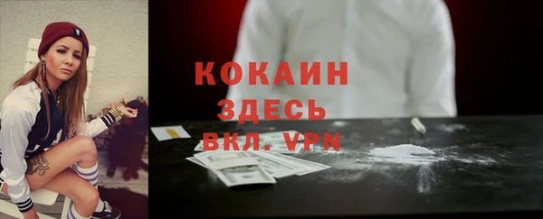 метадон Снежногорск