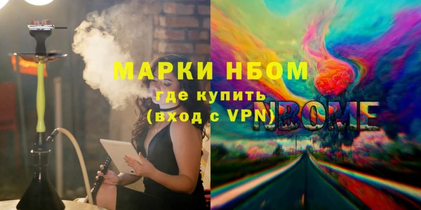 дмт Инсар